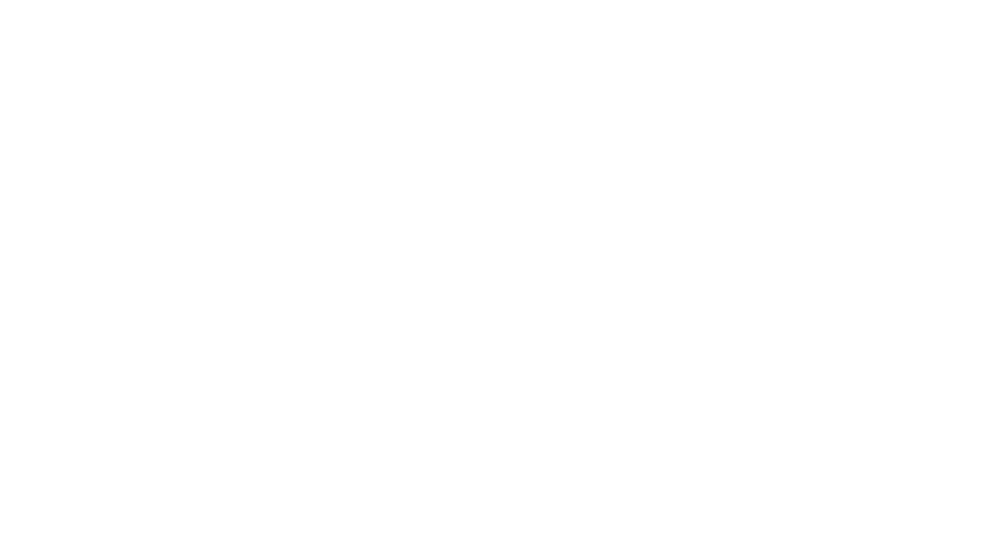 Vendix